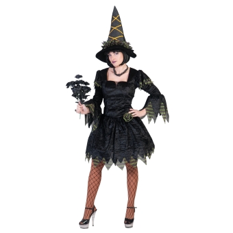 images/productimages/small/heks-kostuum-dames-heksen-witch-costume-halloween-women-type-5.jpg